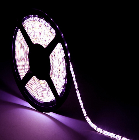 SMD5050-300LED-PURPUR-12V